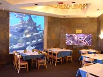 Shark reef cafe with fish tanks