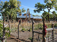 Stables