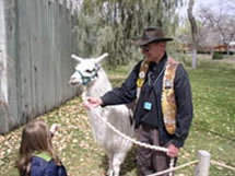 Volunteer and llama