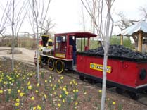 Thunderbird Express