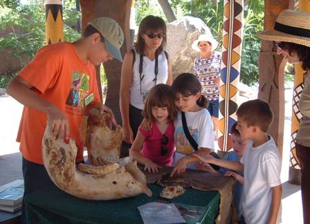 Zoo Volunteer