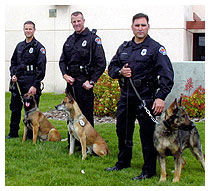 Property Management Albuquerque on Our Police Officers May Request Assignment To One Of These Career