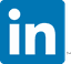Linkedin Icon - Large