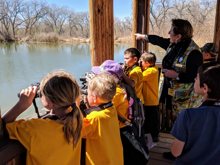 Kids Looking at Bosque - OCE Section Block Tile