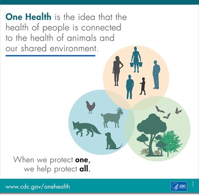 A venn diagram showing overlap between people, animals, and plants. One health is the idea that the health of people is connected to the health of animals and shared environment. When we protect one, we help protect all.
