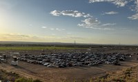 2,200+ Enjoy Free Summer of Nonviolence Drive-In Movie at Balloon Fiesta Park