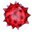 asteraceae_000.jpg