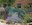 xeriscaped yard