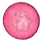 juniper pollen image