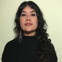 Artist Talk: Nanibah Chacon
