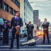 Conversations with Collections