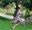 Movement at the Museum: Site-Specific Dance
