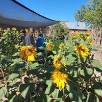 Second Saturday: Summer Open House