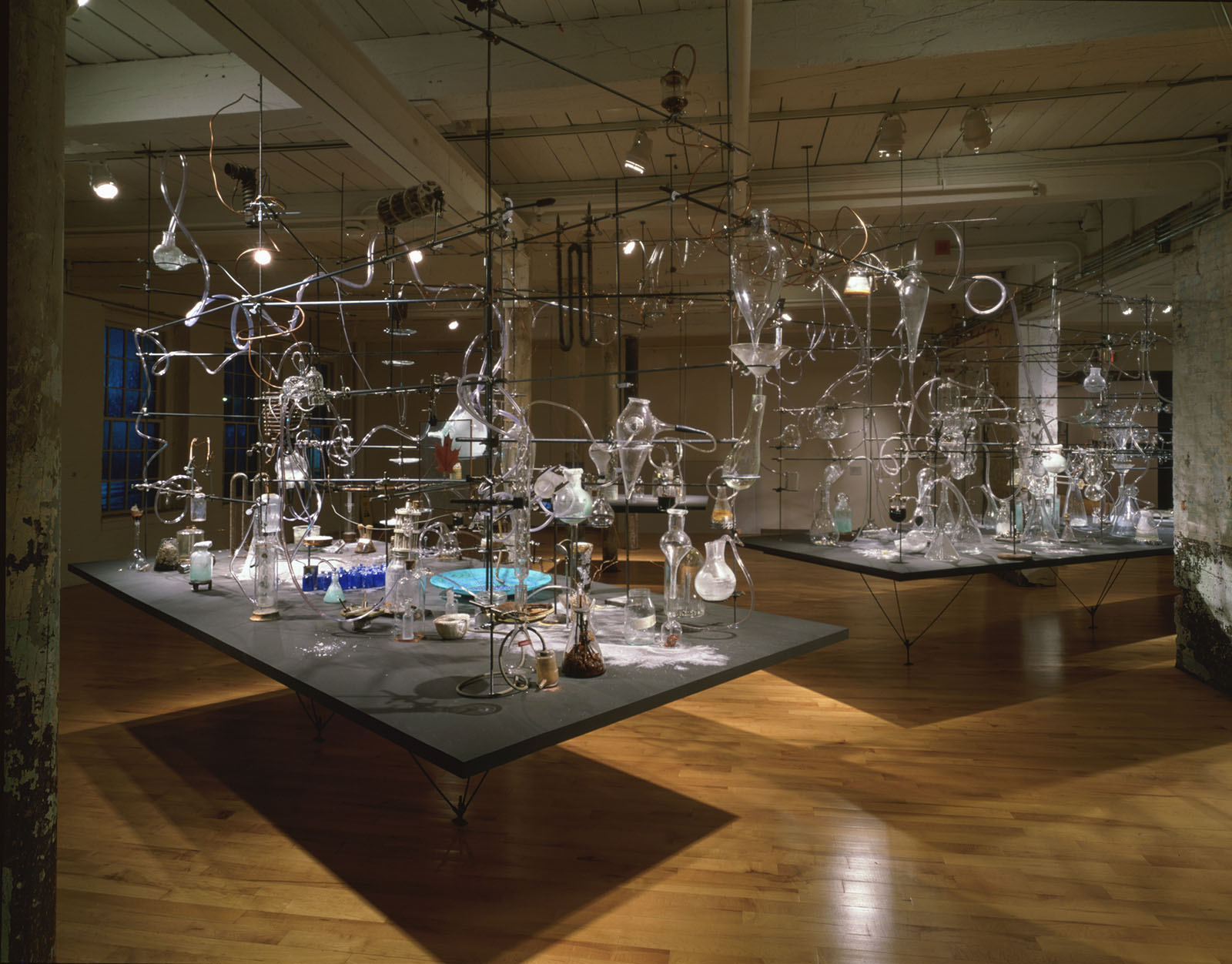 Eve Andrée Laramée, Installation