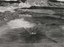 Nina Elder, Trinity Test Site (August, 1945), 2012