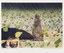 Patrick Nagatani, Trinitite, Ground Zero, Trinity Site, New Mexico, 1988