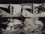 Greg MacGregor, Black and White Los Alamos Archive Negative #3-21-53, 2019