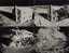 Greg MacGregor, Black and White Los Alamos Archive Negative #3-21-53, 2019