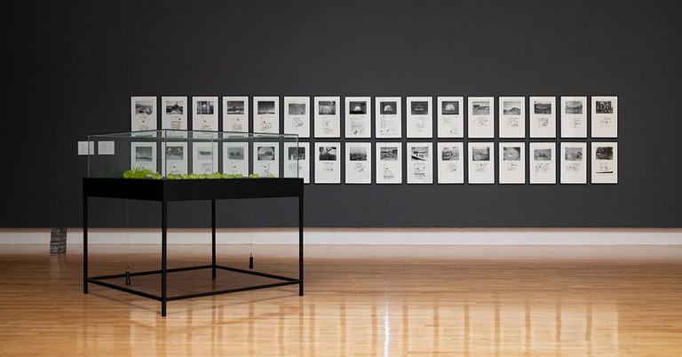 Mary Kavanagh, Installation