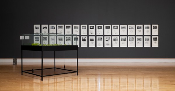 CLICK TO ZOOM Mary Kavanagh, installation view of Trinity Archive, 1945-1946