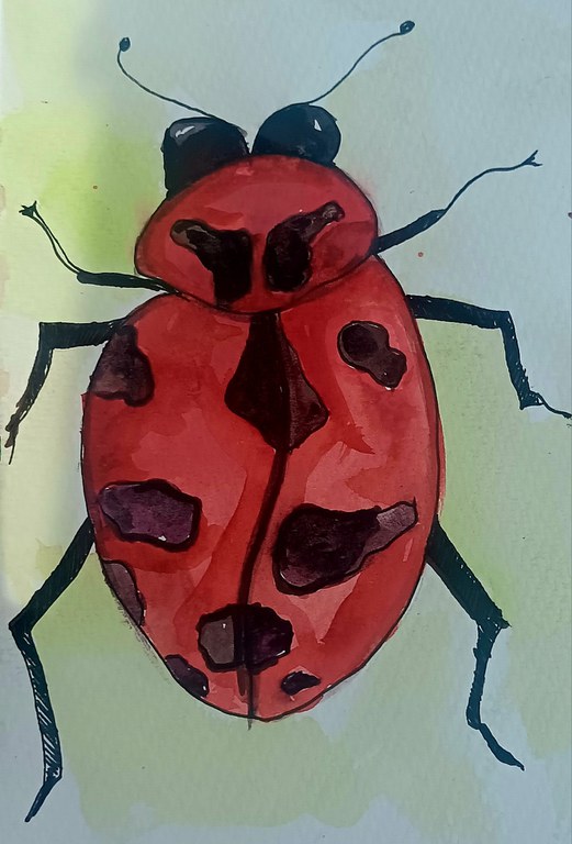 Insect Art Project