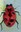 Insect Art Project