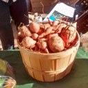 Harvest Festival Potatoes