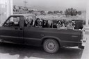 Good Dogs 800px
