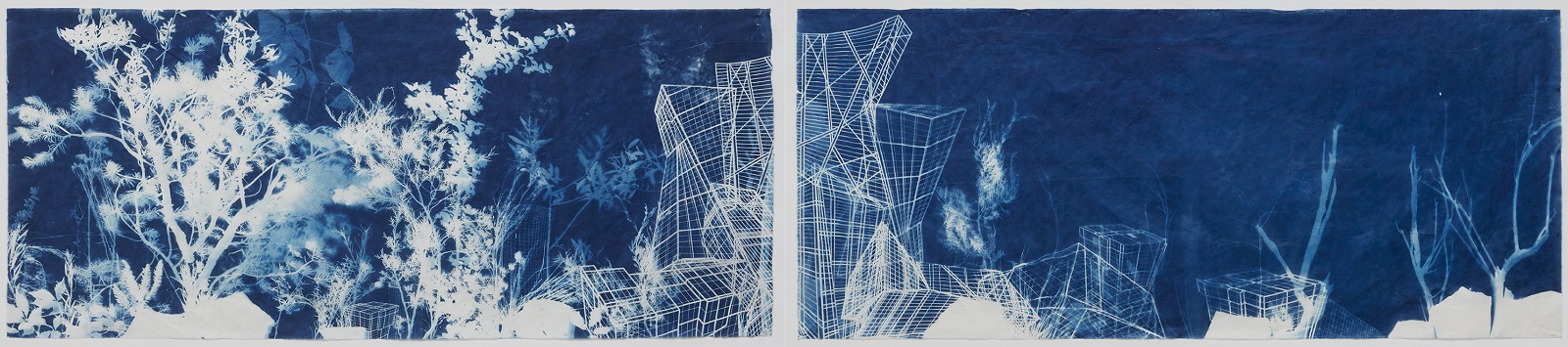 Nicola López; NeverWild Nicola López; NeverWild (diptych); 2021; cyanotype on mulberry paper; each panel 39 x 91 in.; photo by Alan Wiener