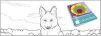 Albuquerque Museum Coloring Book Albuquerque Museum Coloring Book