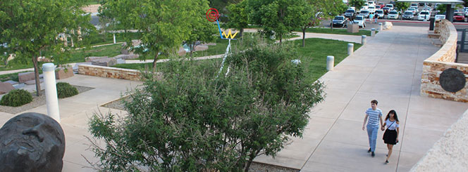 Albuquerque Museum Sculpture Garden Overhead