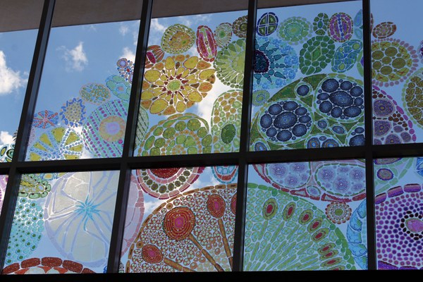 Detail of Meridiae by Lea Anderson, composed of translucent, colorful, circular shapes, installed on a window in the lobby of the Albuquerque Museum. 