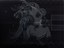Erase the Horse Black