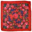 Sani Scarf Worn by Members of The Red Nation