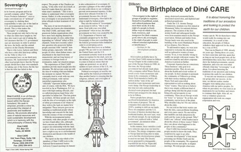 Diné C.A.R.E. Newsletter, Vol. 2 No. 1 page 2