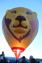 Lion Balloon