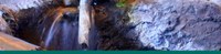 Cutthroat Stream Banner Cutthroat Stream Banner