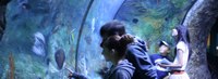 Pacific Corals Slider Pacific Corals Slider
