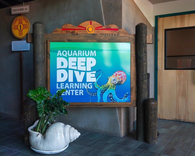 Deep Dive Learning Center