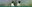 Shallows and Shores banner