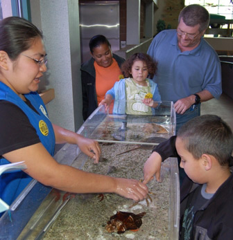 Touchpool Volunteer