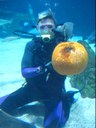 Underwater Pumpkin Carving