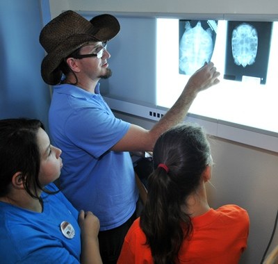 caption:A group of Camp BioPark students look at an animal x-ray.