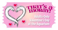 That's A Moray! Adults-Only Valentine's Day at the Aquarium