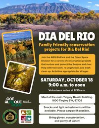 Día Del Rio