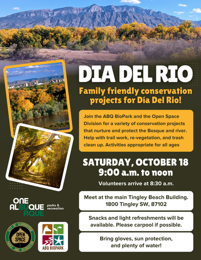 Día Del Rio