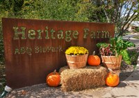 Harvest Moon Tour