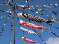 Kodomo no Hi (Japanese Children's Day)