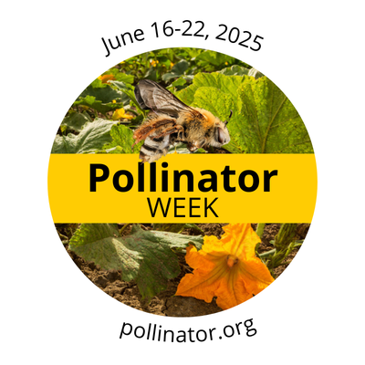 Pollinator Day