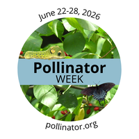 Pollinator Day